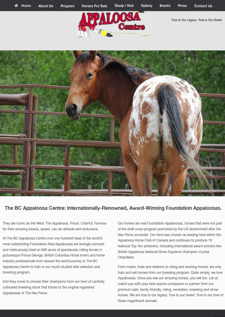 Home page of website demo for The Appaloosa Center in British Columbia